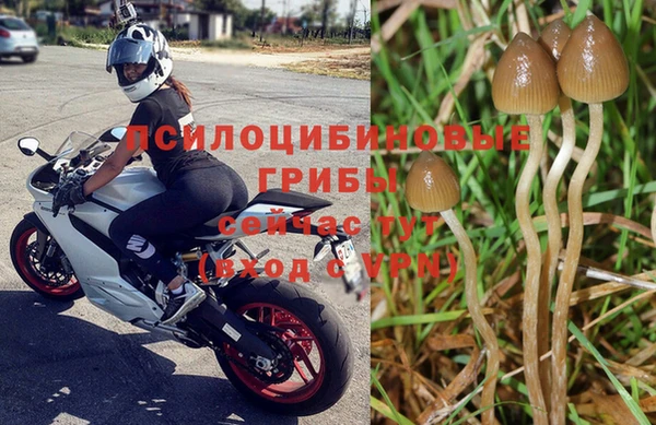 прущие крисы Покачи