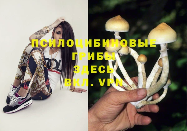 МДПВ Баксан